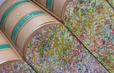 quartier-livre-reliure-soigneze