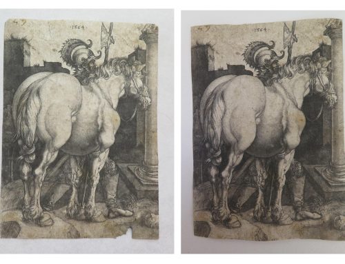 Restauration gravure de « Albrecht Dürer »